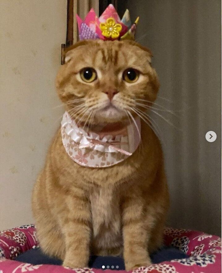 ちりめん細工のクラウン