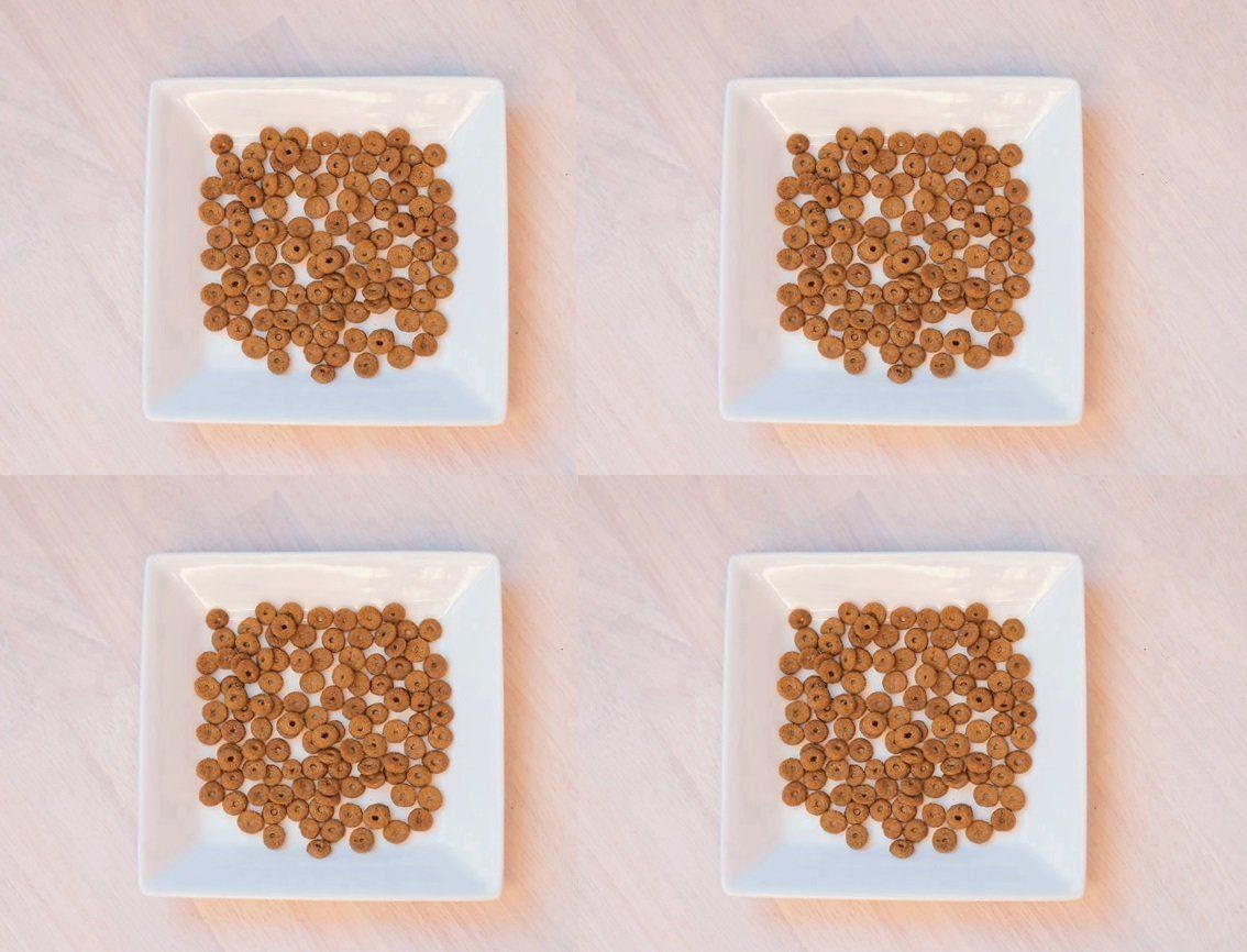 画像／2017年９月号『秋の夜長の過ごし方』