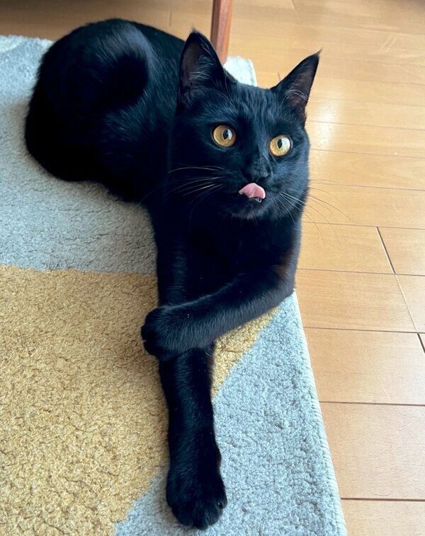 くつろぐうにくん