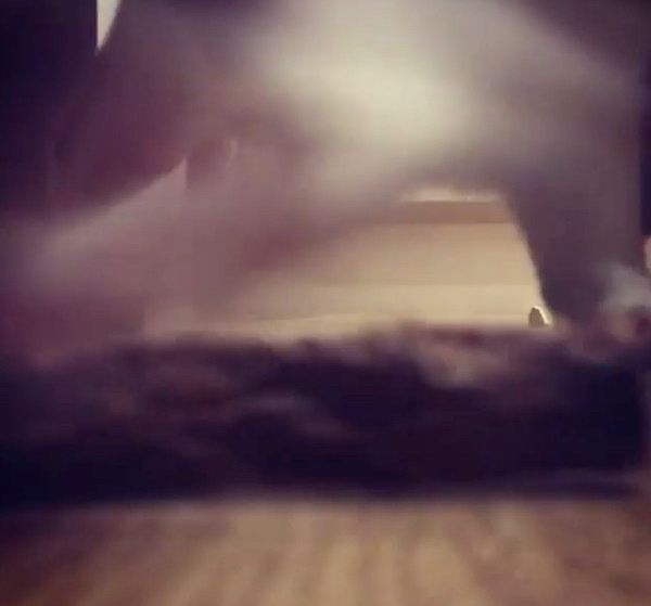 狩りモードの猫