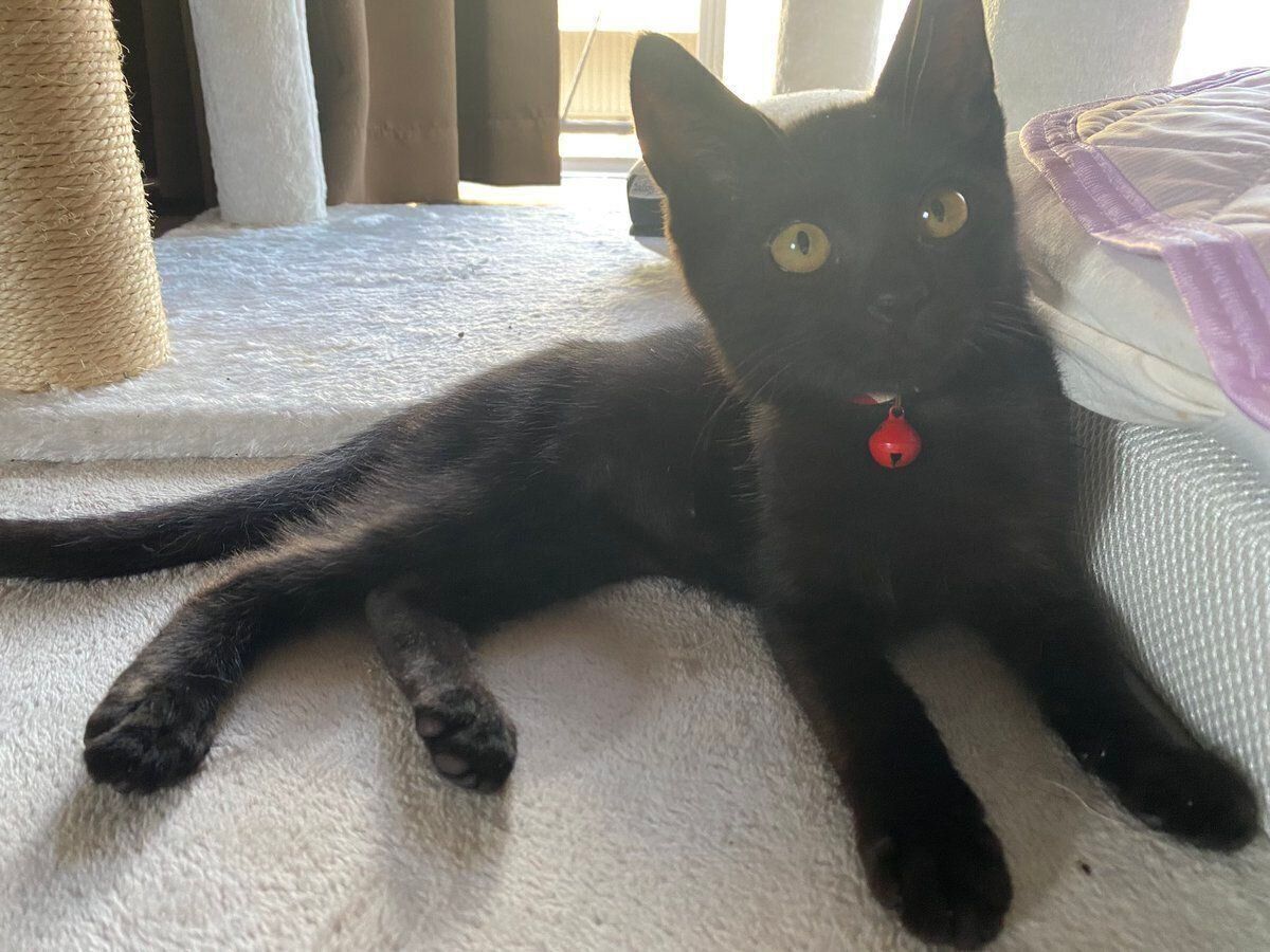 朝から元気なうにくん