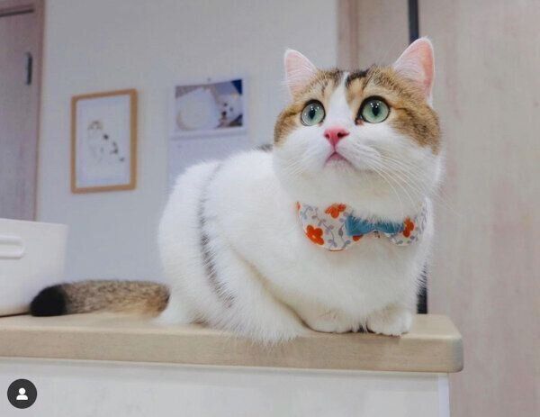 目をキラキラさせるなぎちゃん