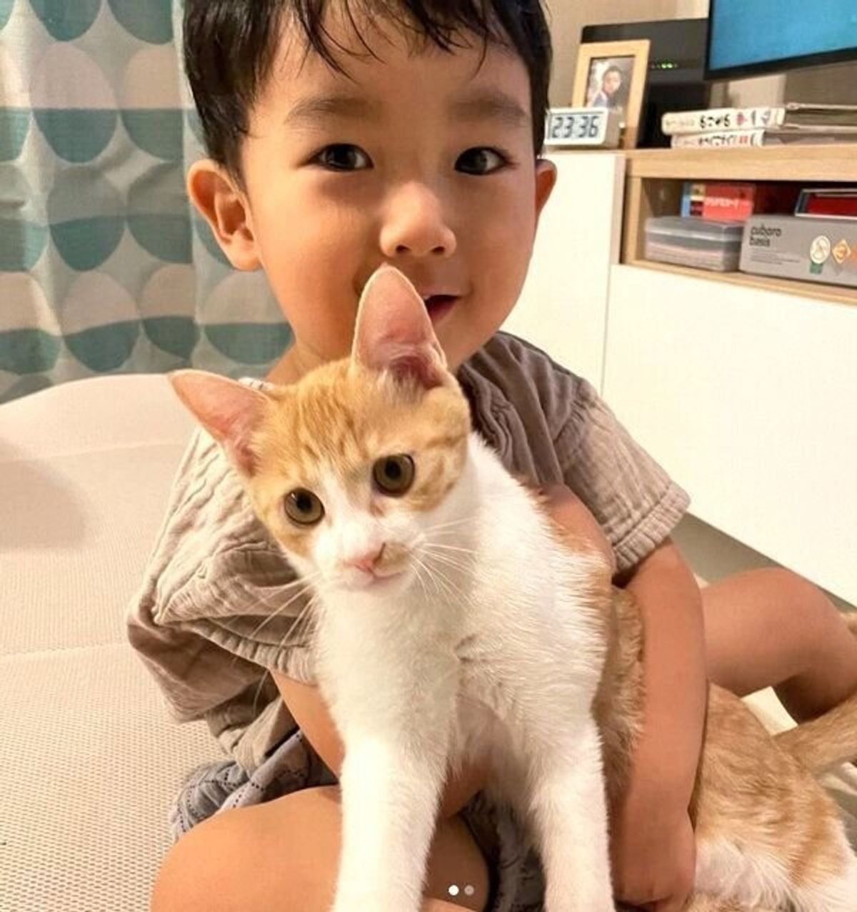 猫を迎え入れたことで子どもにも変化が 多くの人の助けがあり 飼い主と出会えた保護子猫の日常が幸せに溢れていた ねこのきもちweb Magazine 猫を迎え入れたことで子どもにも変化が 多くの人の助けがあり 飼い主と出会えた保護子猫の日常が幸せに溢れていた ねこのきもちweb Magazine