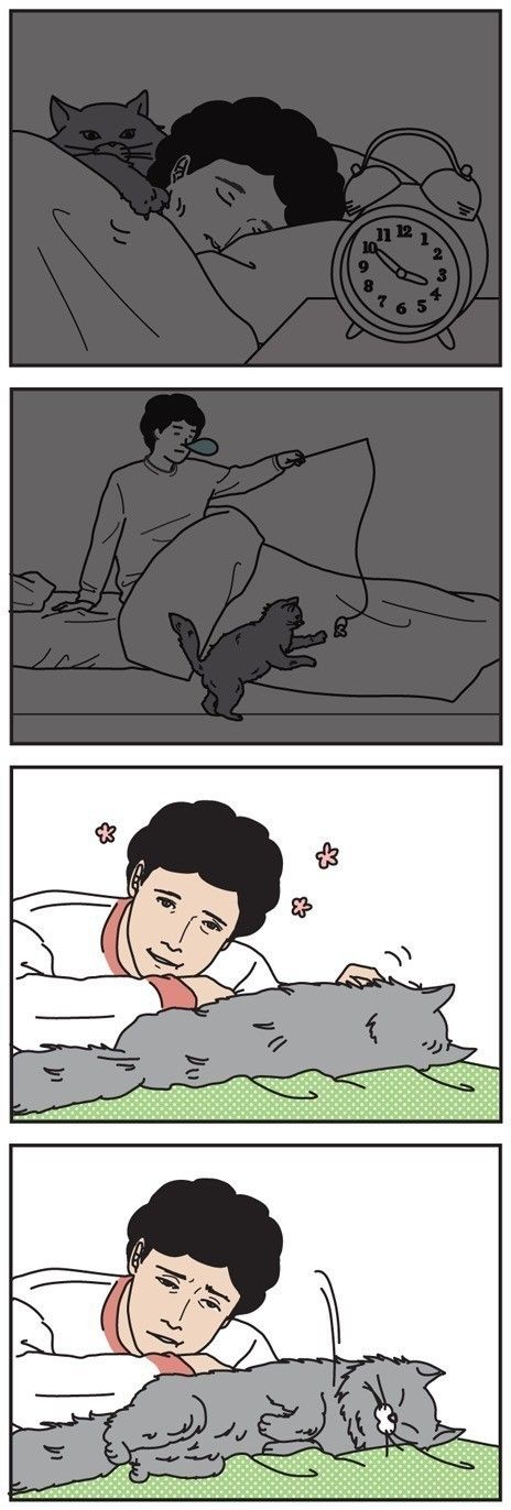 「男の猫道」vol.43
