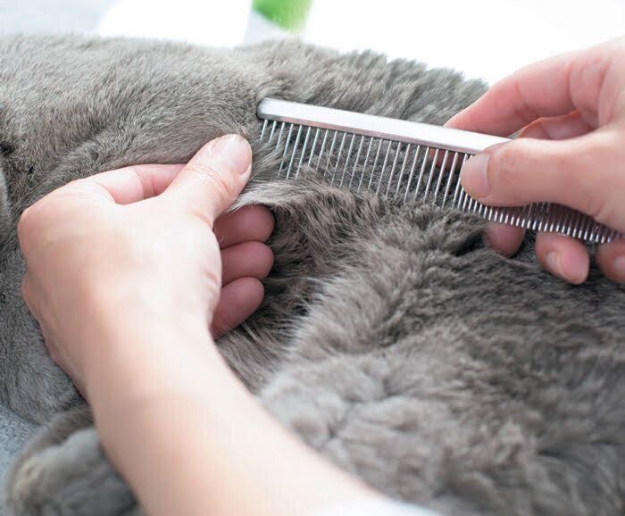 コームで毛玉をほぐす