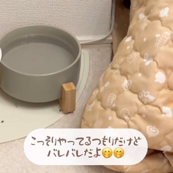 こたつの中に隠れるメルくん