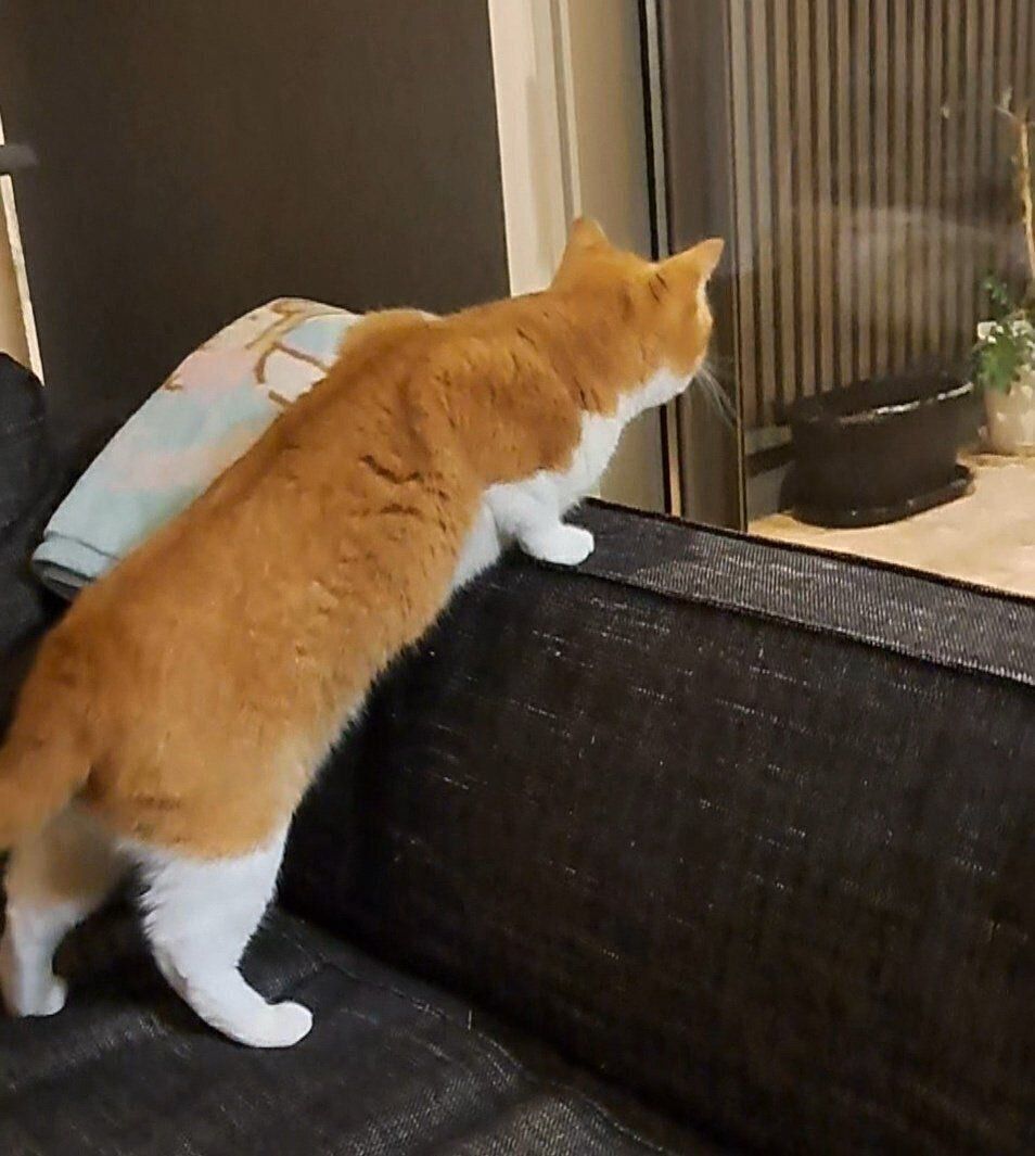 初めて雪を見たもなかくん