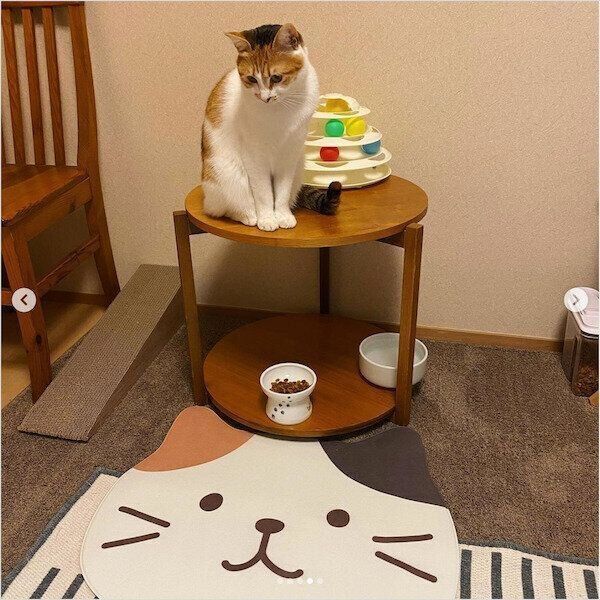 「ふくふくにゃんこ」グッズ