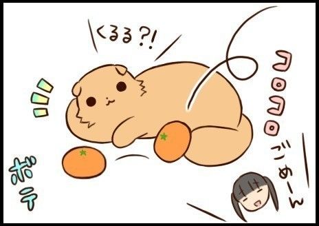 「もふもふスコタン」タイトル