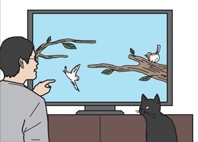 「男の猫道」サムネイル