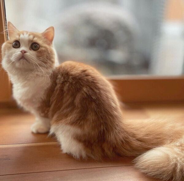 見つめるなぎちゃん