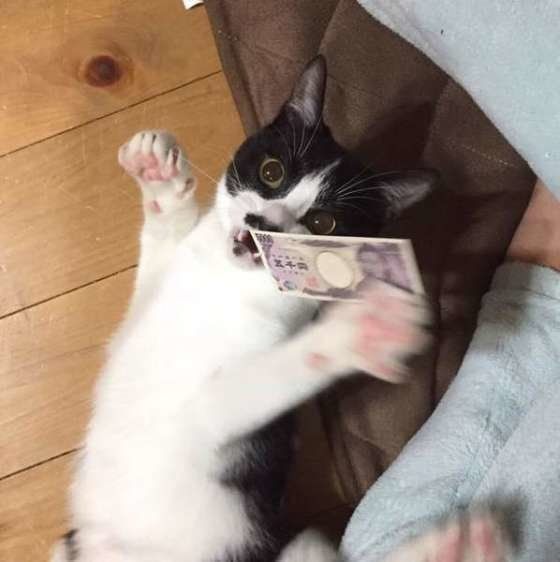 お小遣いゲット！MIX黒×白のプリン