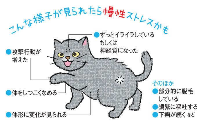 イラスト／内田尚子