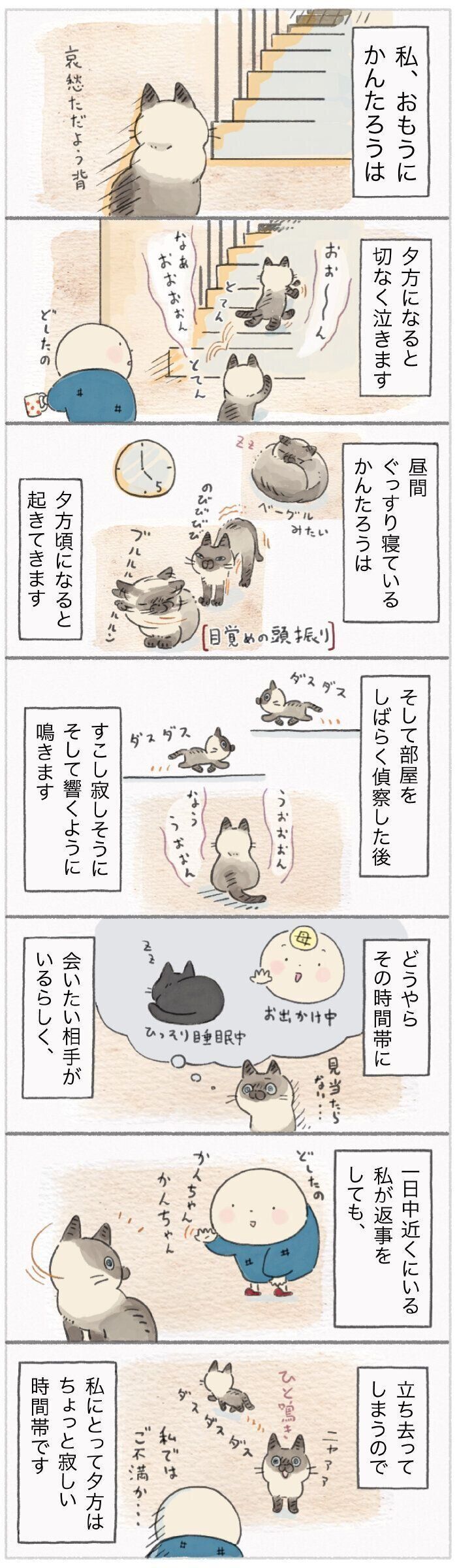 「ねこ連れ草」165話め