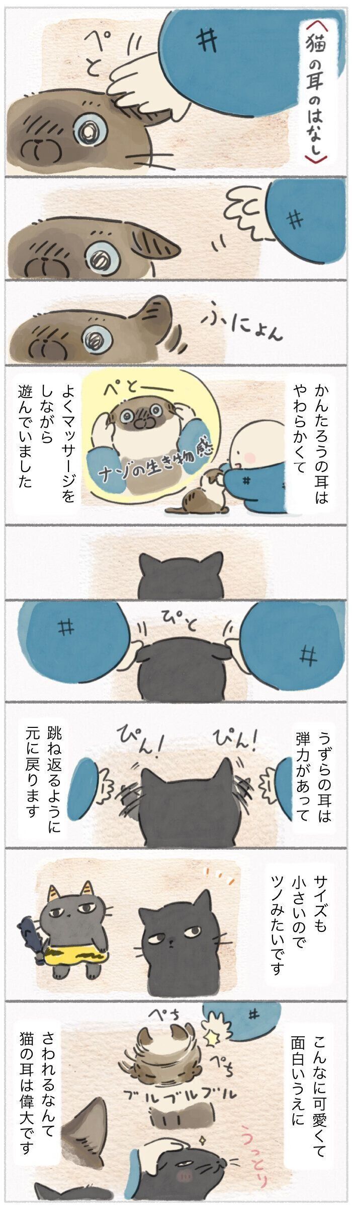 「ねこ連れ草」324話め