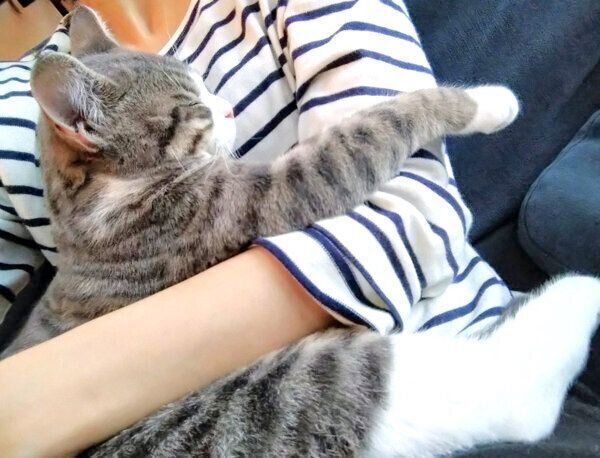 抱っこされるあおちゃん