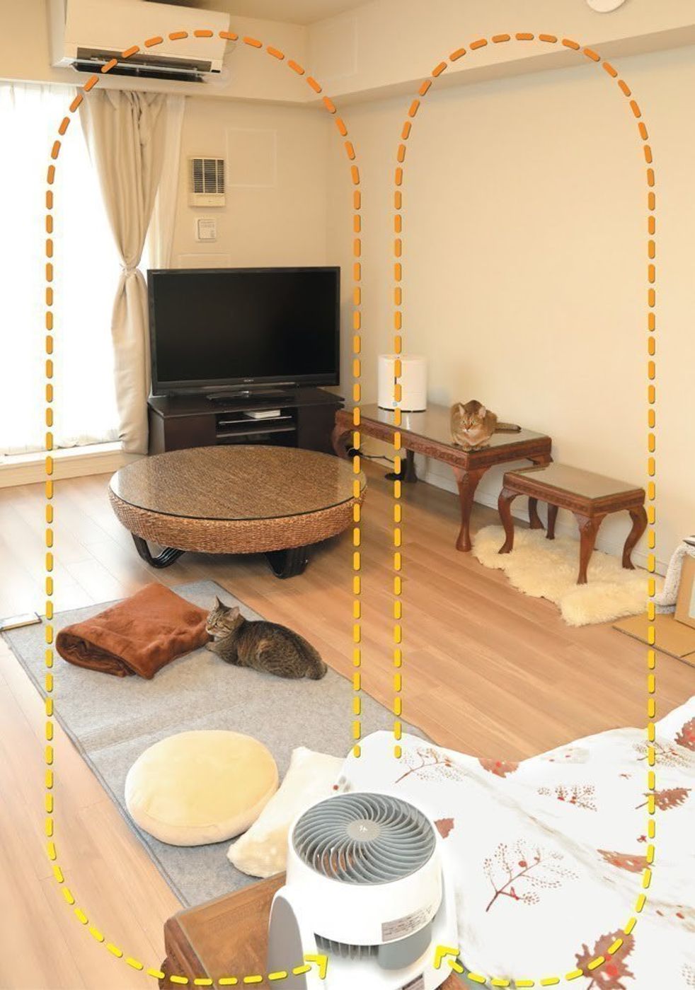 冬を迎える前に 猫目線でお部屋ごとの寒さ対策をしておこう ねこのきもちweb Magazine