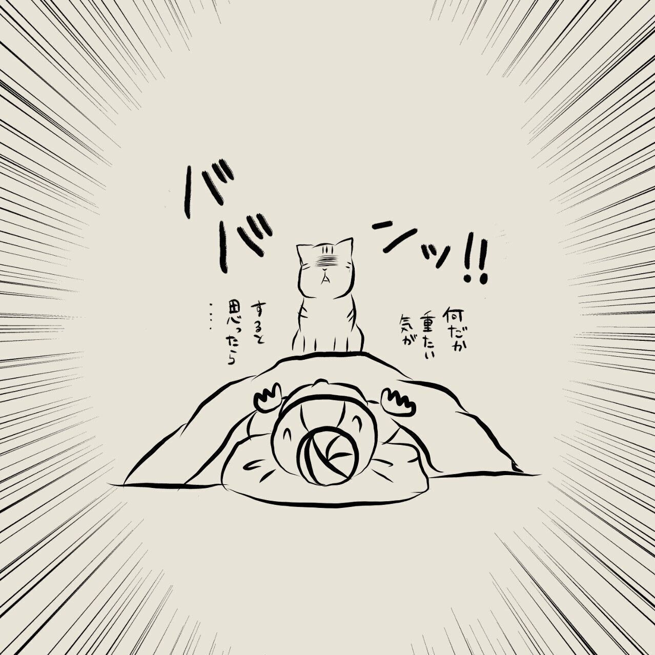 飼い主が熱でダウンした時 人嫌いの猫がとってくれた幸せいっぱいの行動とは 連載 交通事故にあった猫を拾いました 44 ねこのきもちweb Magazine