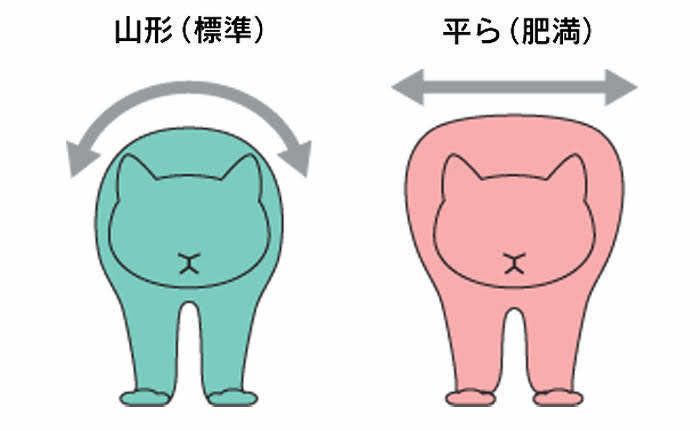 イラスト／堀内洋乃