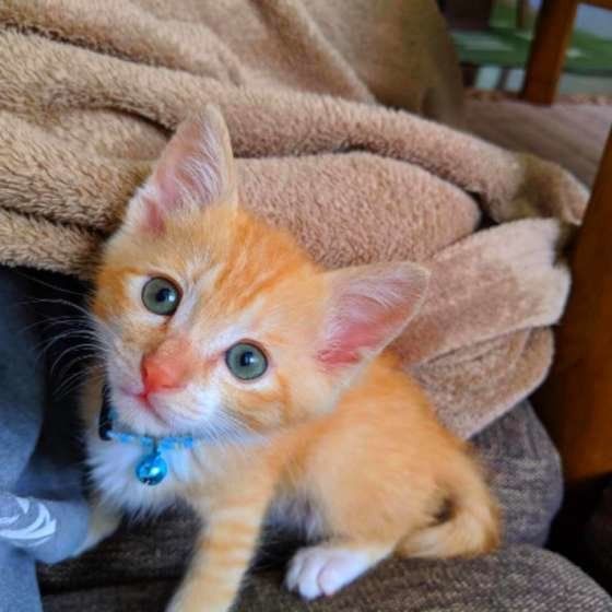 まだまだ幼いレオ君