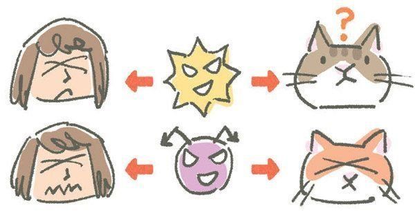 猫から間接的にうつりやすい病気