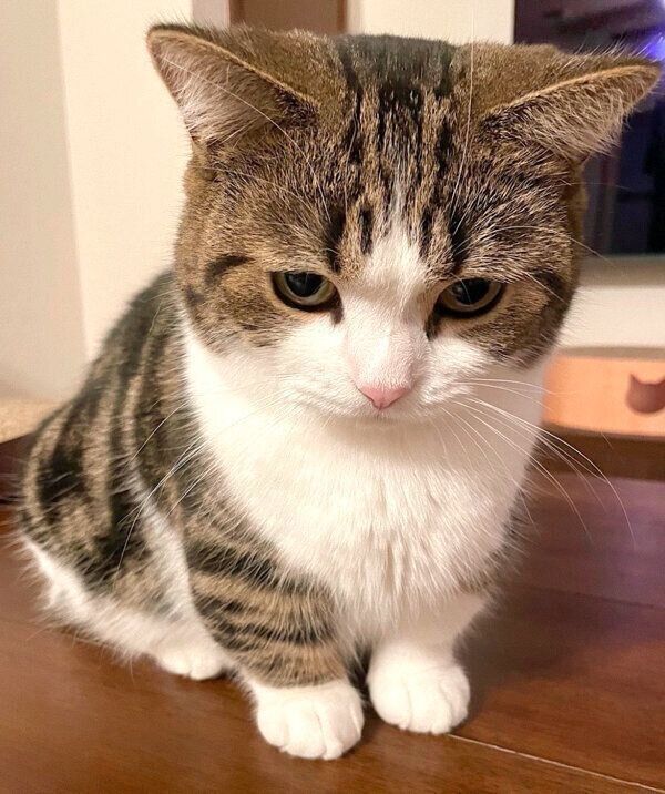 ちょっぴりふてくされるひなたくん