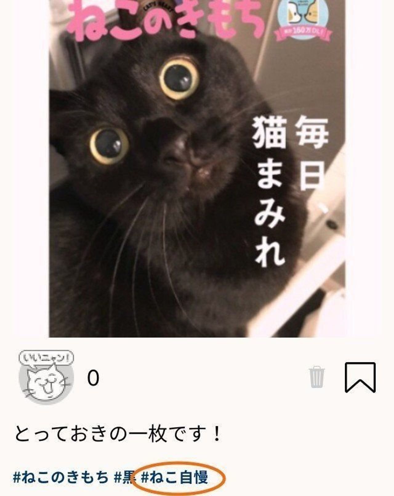 Bs Tbs On Twitter 明日12 16 水 よる10時 ねこ自慢 Nekojimanbs6ch 今回は 世界最小の猫 と言われるシンガプーラ種の猫 人間の女の子と猫の兄弟 三人の仲睦まじい姿にほっこり 10匹の猫の大家族 子育て奮闘記 Mcねこ じろう 声 花江夏樹 Https T Co