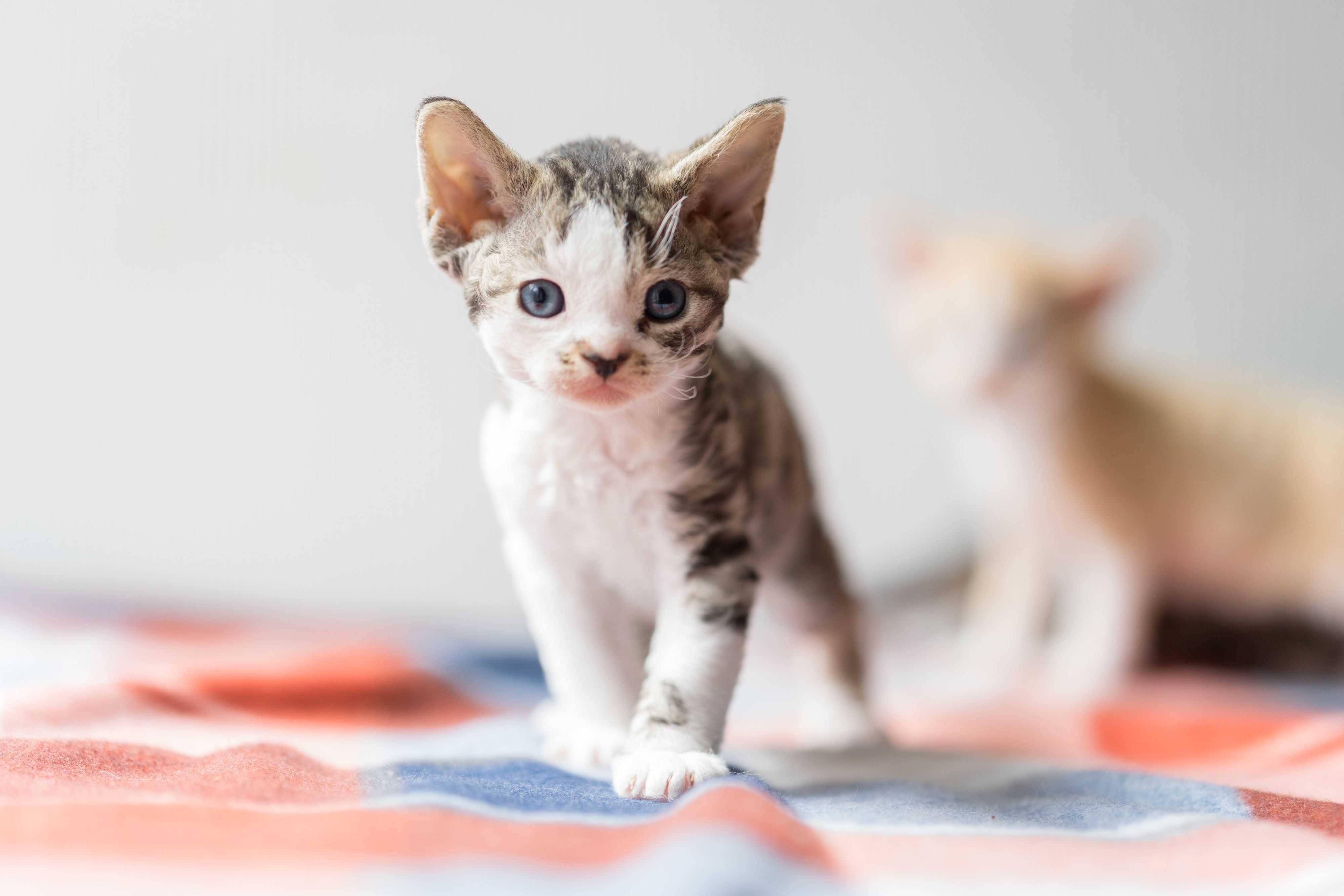 撮影／石原さくら