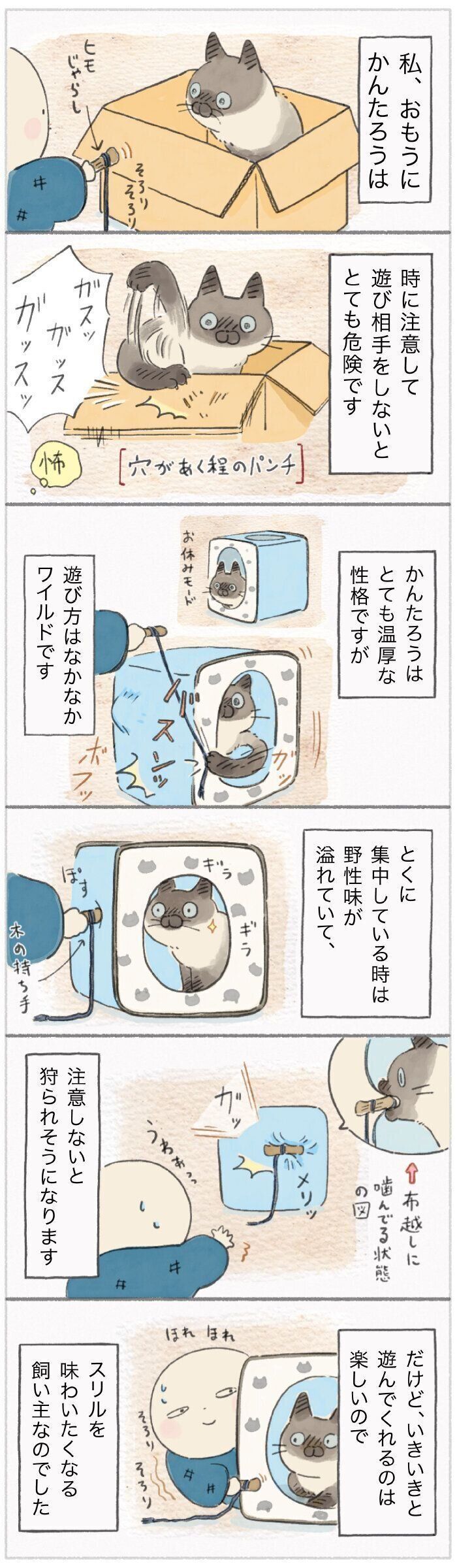 「ねこ連れ草」179話め