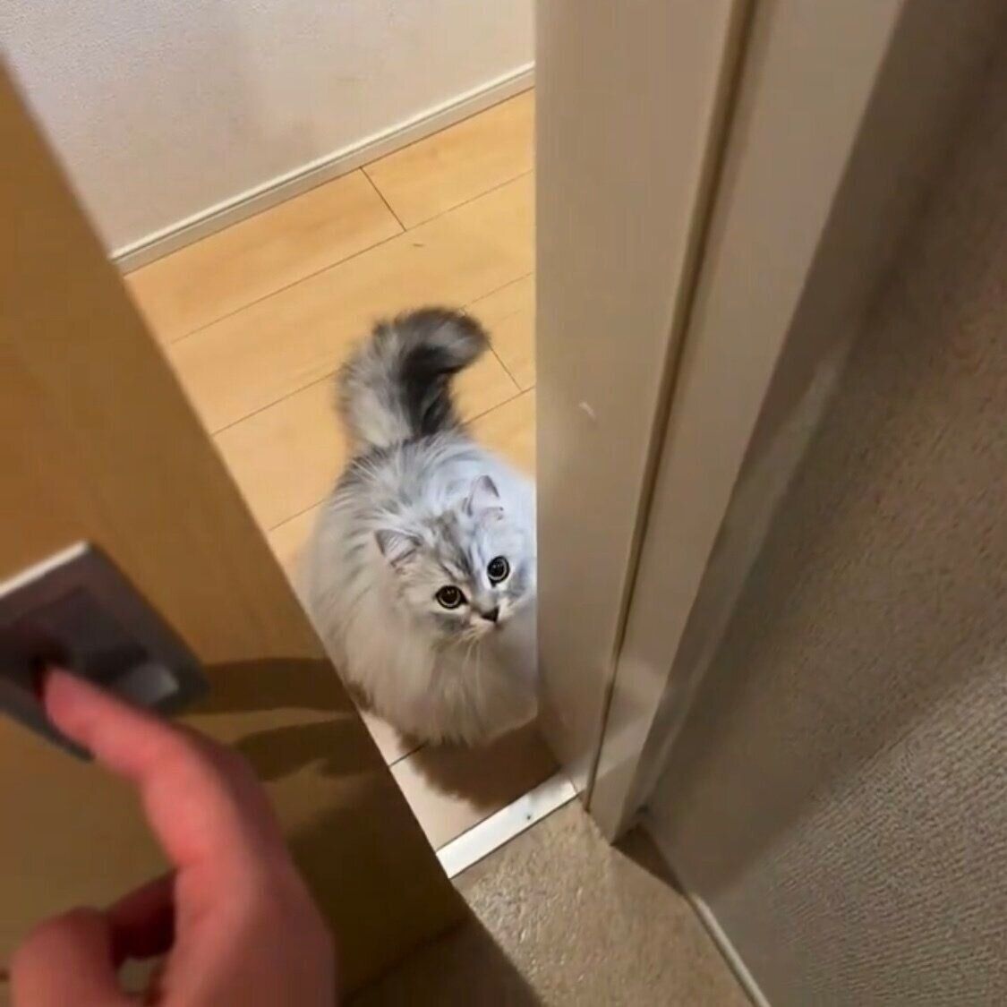 扉の前で待つすぴくん