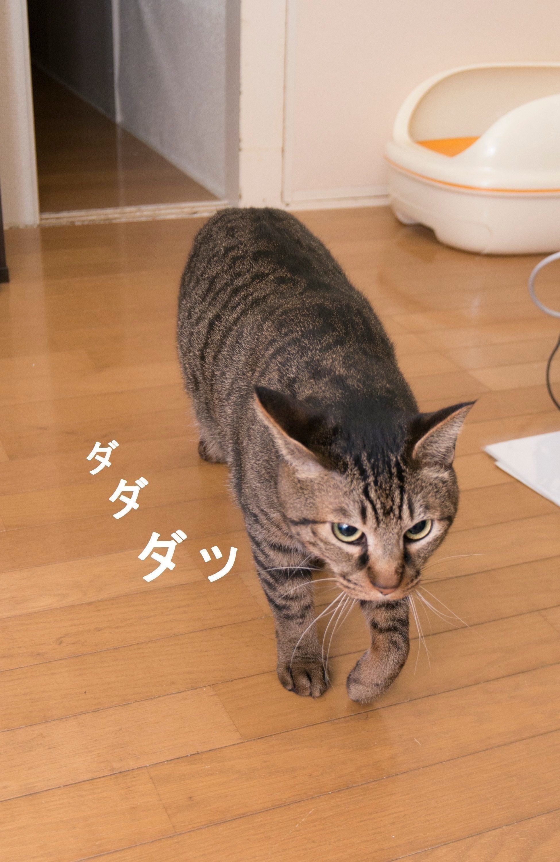 撮影／中川文作