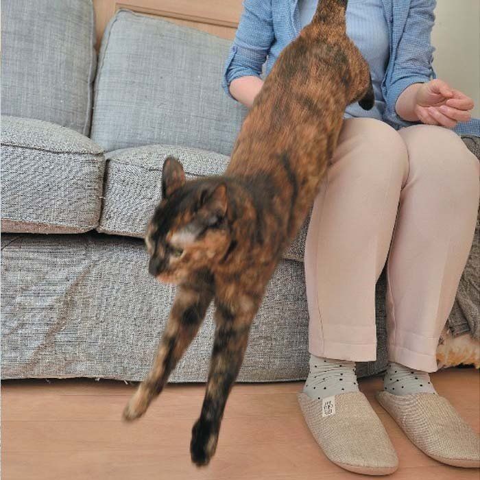 撮影／尾﨑たまき