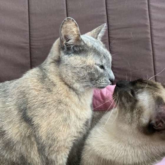 MIXちゃんの鼻ツンツン