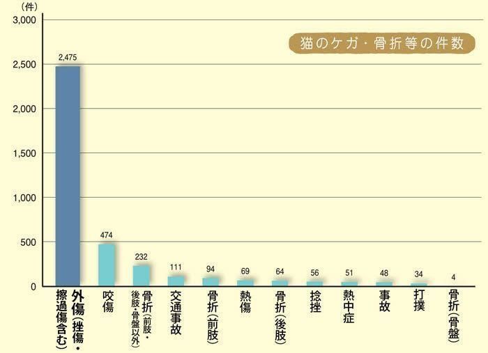猫のケガ・骨折等の件数データ