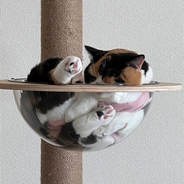 くつろぐおあげちゃん