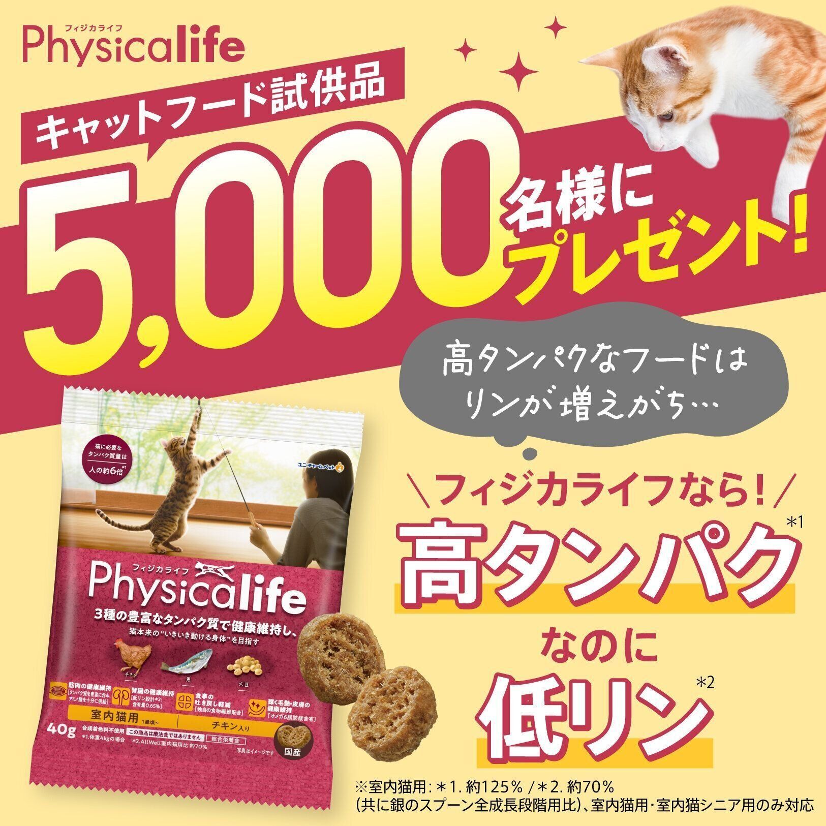 キャンペーンに応募する