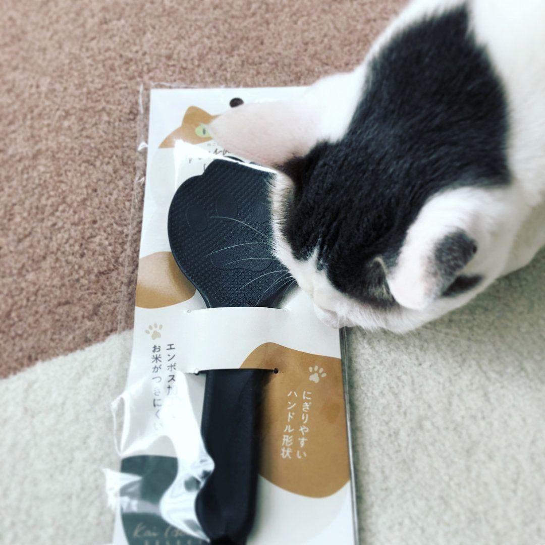 猫の手しゃもじ