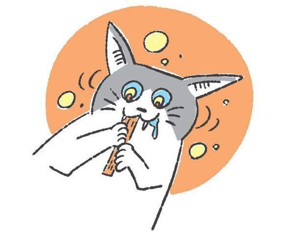 猫の「興奮スイッチ」