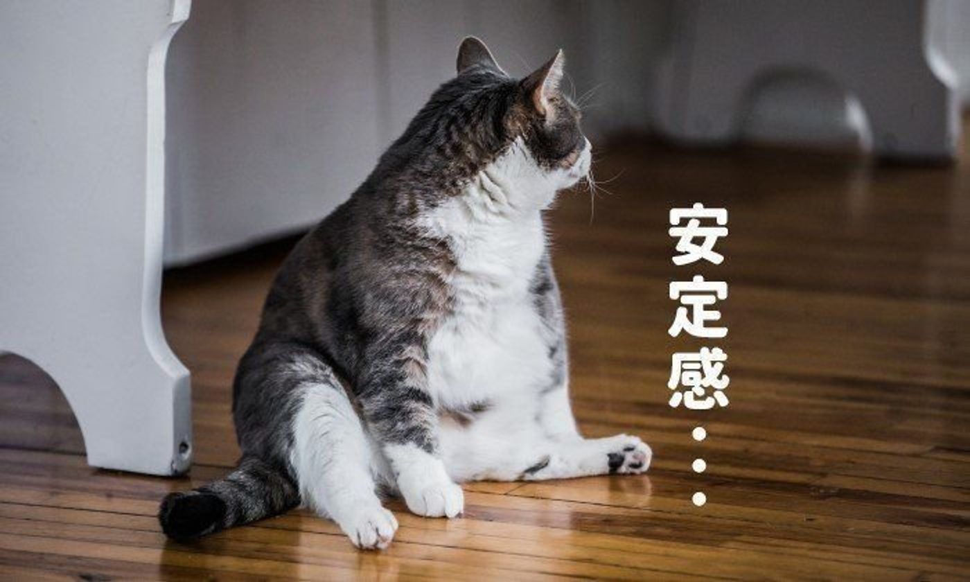 猫がまるで人のように 座れる のはどうして ねこのきもちweb Magazine 猫がまるで人のように 座れる のはどうして ねこのきもちweb Magazine
