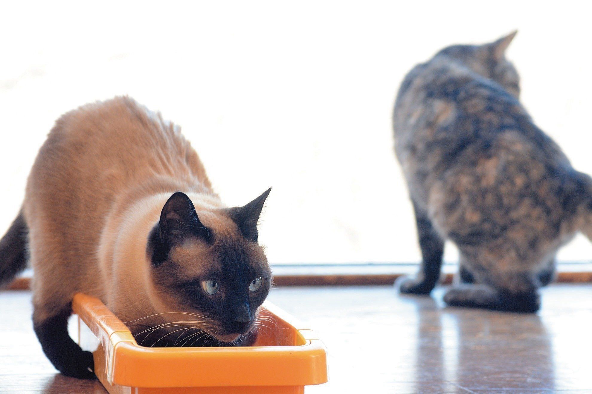 撮影／栗林　愛