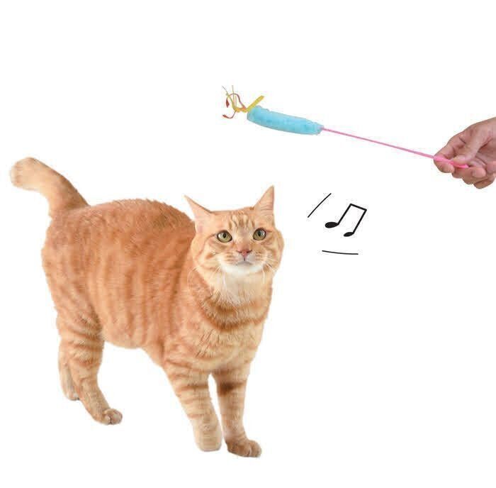 おもちゃで遊ぶ猫