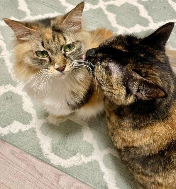 つくしちゃんのほっぺにチュー