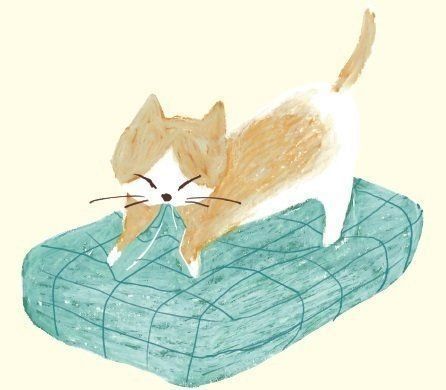 イラスト／mollydomon