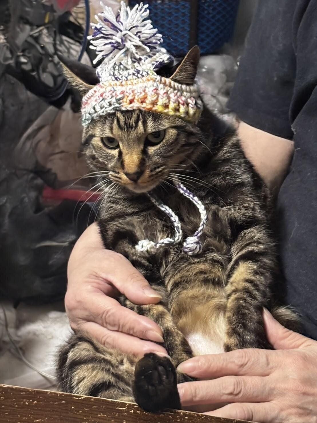 スカーレット工房作品