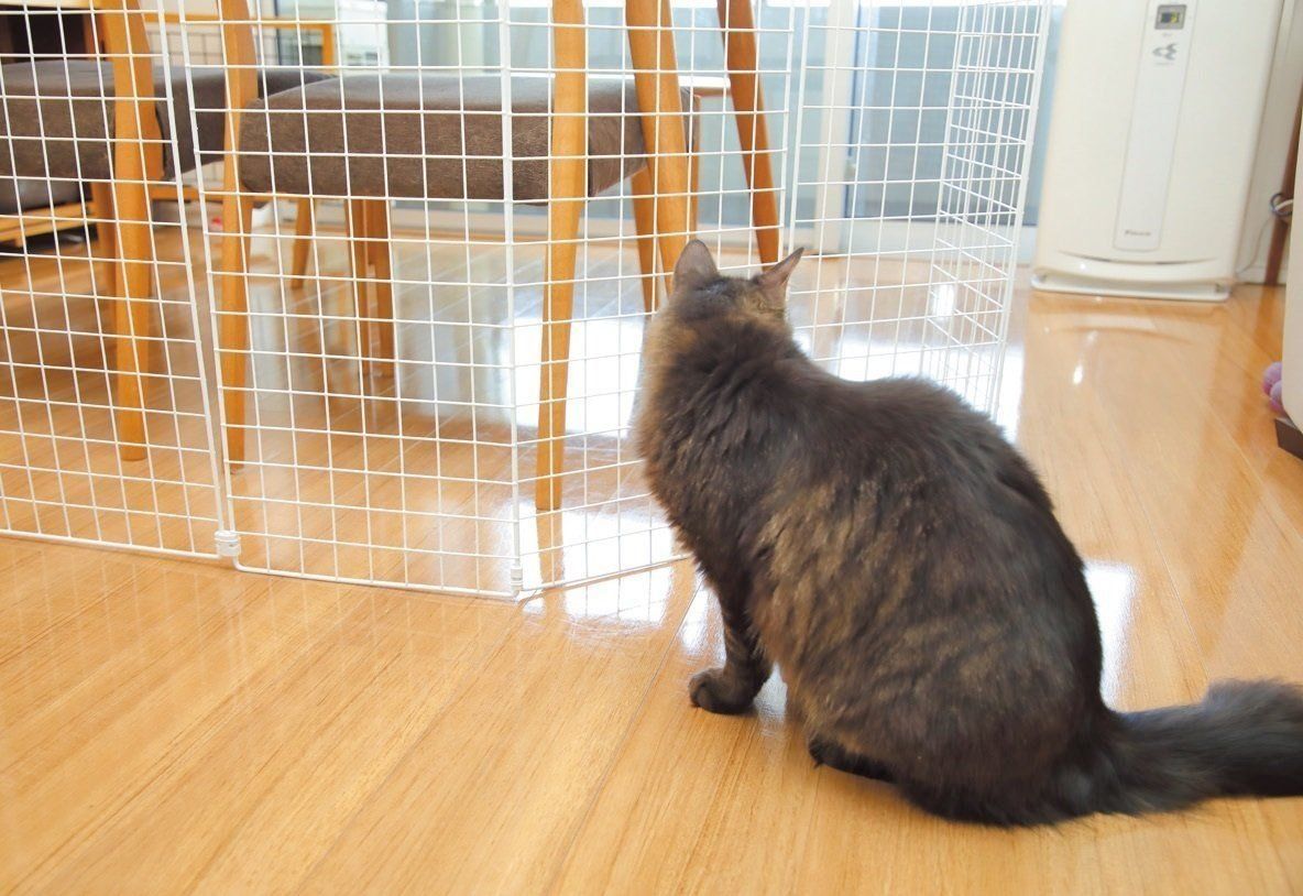 撮影／尾﨑たまき