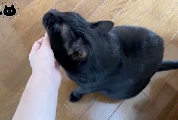 幸せそうなろんさん