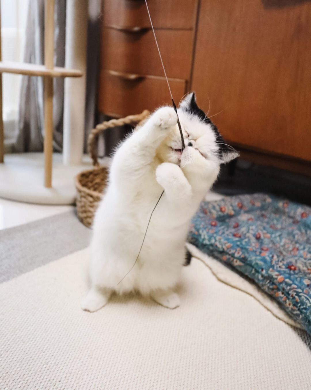 遊びに夢中になるぷっちゃん