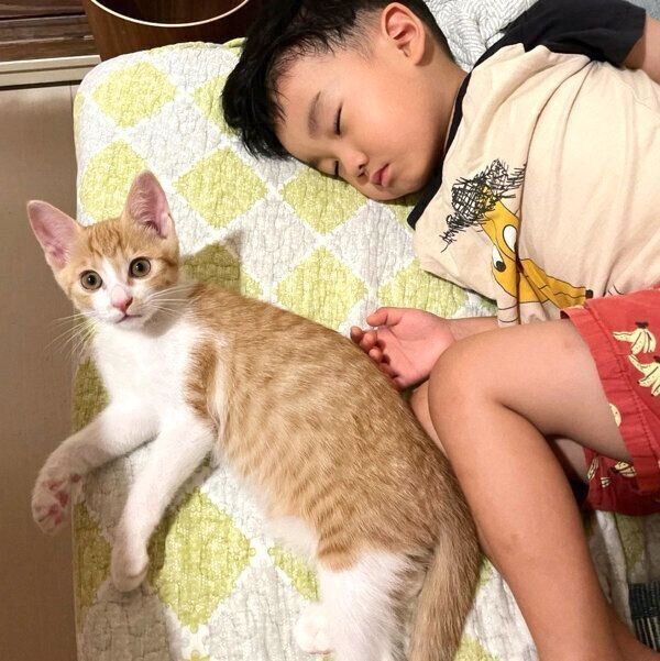 仲良しなポットくんと息子さん