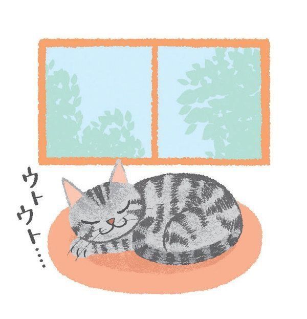 猫の激怒症候群