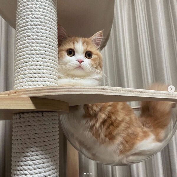 まったりするなぎちゃん